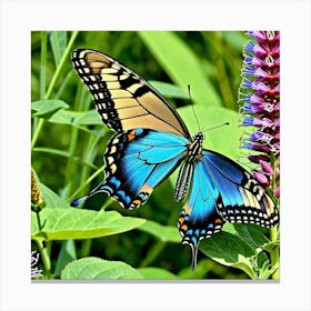 Blue Swallowtail Butterfly Canvas Print