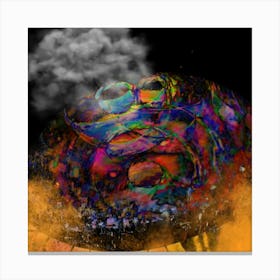 Symbiosis Canvas Print