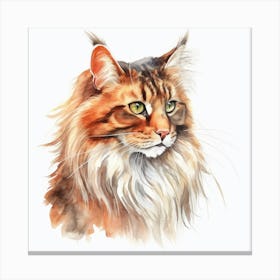Oriental Longhair Cat Portrait 1 Canvas Print