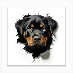 Rottweiler Canvas Print