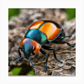 Beetle On Wood Canvas Print