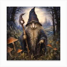 Wizard Of The Woods Canvas Print