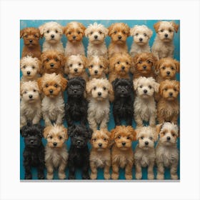 Teddy Bears Canvas Print