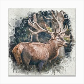 Forest Prince Canvas Print