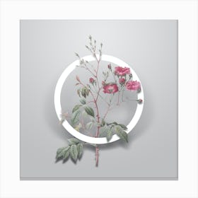 Vintage Pink Noisette Roses Minimalist Botanical Geometric Circle on Soft Gray n.0200 Canvas Print
