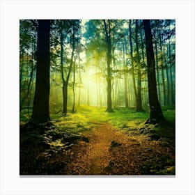 Sunrise In The Forest Photo Canvas Print