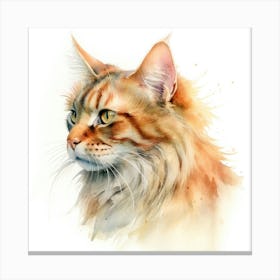 Selkirk Cat Portrait 2 Canvas Print
