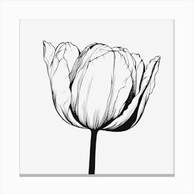 Tulip 1 Canvas Print