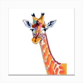 Northern Giraffe 01 Canvas Print