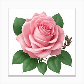 Pink Rose 1 Canvas Print