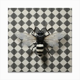Houndstooth Fly Canvas Print