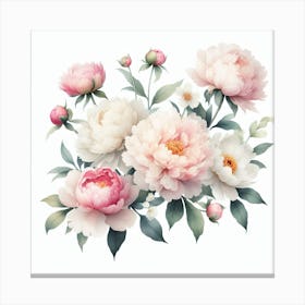 Peonies 3 Canvas Print