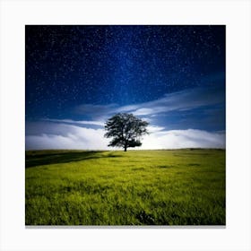 Firefly 8k, Top Quality, Live Action, Center, Night Sky, Darkness, Meadow, Plateau, Single Tree, Sea (2) Canvas Print