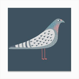 Pigeon Canvas Print