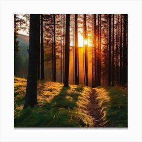 Sunset In The Forest 28 Canvas Print