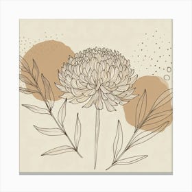 Chrysanthemum Canvas Print