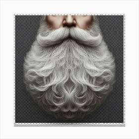 Beard Of Santa Canvas Print