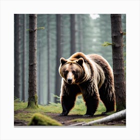 Brown Bear In The Forest 12 Canvas Print