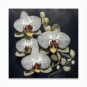 Orchids Canvas Print