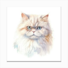 Colorpoint Shorthair Persian Cat Portrait 1 Canvas Print