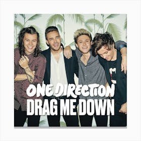 Drag Me Down (feat. LunchMoney Lewis) [Big Payno x AFTERHRS Remix] - Single (by One Direction) Canvas Print