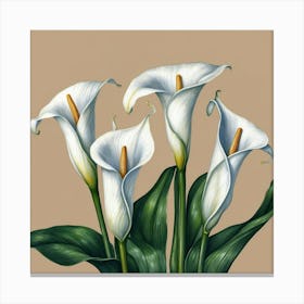 Calla Lily Canvas Print