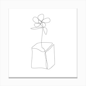 Flower In A Box Canvas Print