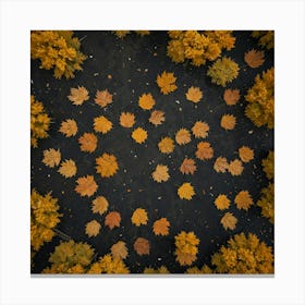 Aerial View Of Autumn Leaves Canvas Print