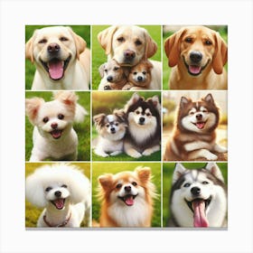 Collage Of Dogs: Happy National Pet Day! Canvas Print