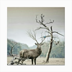 Deer In The Field Canvas Print