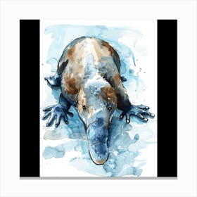 Platypus Canvas Print