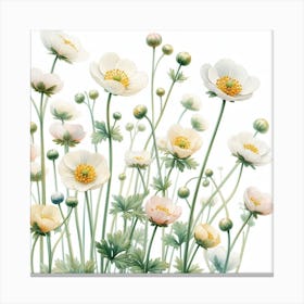 Flowers of buttercup Canvas Print