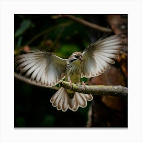 Bird In Flight Landing On A Limb Of Tree Canvas Print