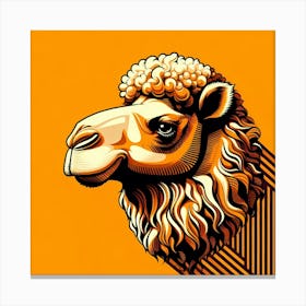 Camel Head Canvas Print