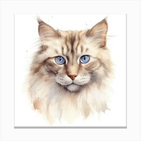 Neva Masquerade Cat Portrait Canvas Print