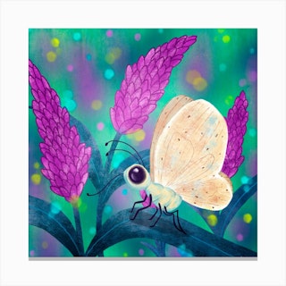 Butterfly Square Canvas Print