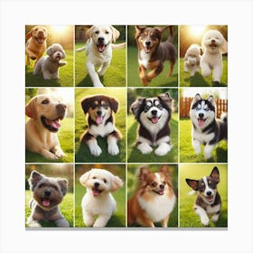 Collage of Dogs: National Pet Day! Canvas Print