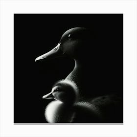 Mother And Duckling Canvas Print