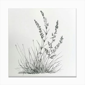 Grasses 1 Canvas Print