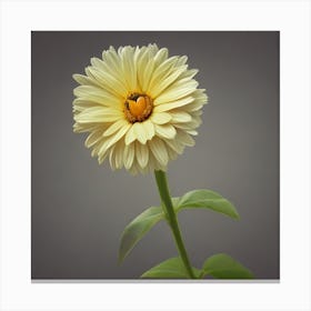 Beautiful Flower Canvas Print