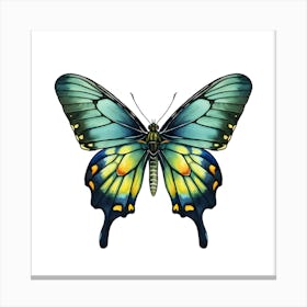 Butterfly Isolated On White Canvas Print