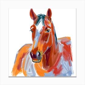 Quarter Horse 04 Canvas Print