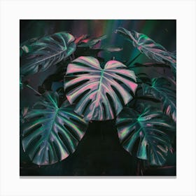 Plants Wall Art Deco Canvas Print