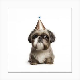Shih Tzu In Party Hat Canvas Print
