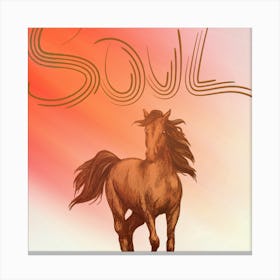 Soul of sun Canvas Print
