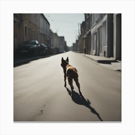 Dog Walking In The Street Canvas Print