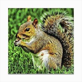 Squirrel In Grass Canvas Print