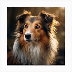 Portrait Of A Collie Dog Canvas Print
