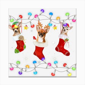 Santa Chihuahua Puppy Christmas Lights Socks Xmas Decor Canvas Print