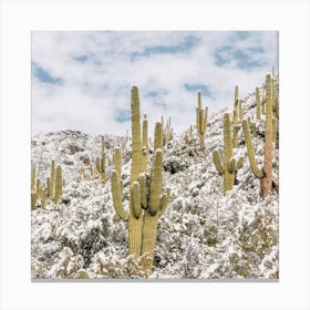 Snowy Desert Hillside Canvas Print